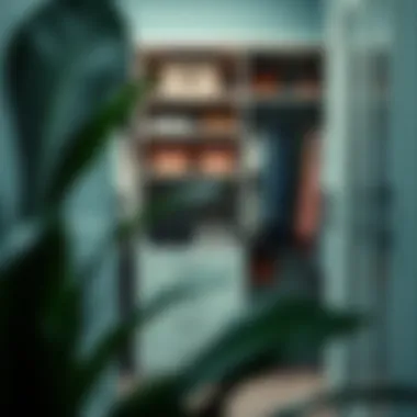 Enhancing Aesthetics with Stylish Accessories Stylish accessories adding flair to a well-organized closet