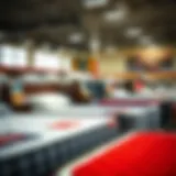 Diverse Selection of Twin Size Mattresses Variety of twin mattresses on display at Big Lots