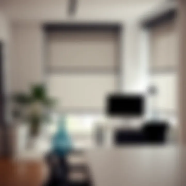 Roller Blinds for Professional Environments Sleek roller blinds in a contemporary office space