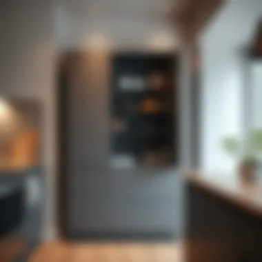 Modern Metal Storage Cabinet for Kitchens Contemporary metal storage cabinet with sleek design in a modern kitchen