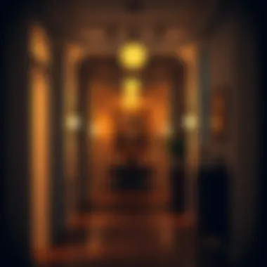 Illuminated Hallway with Track Lighting Dramatic hallway illuminated with directional track lighting creating an inviting atmosphere