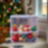 Elegant plastic ornament storage box showcasing versatility