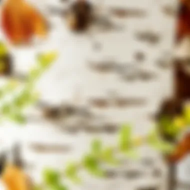 Nature's Canvas: Birch Bark Textures Close-up of birch tree bark texture in wall art