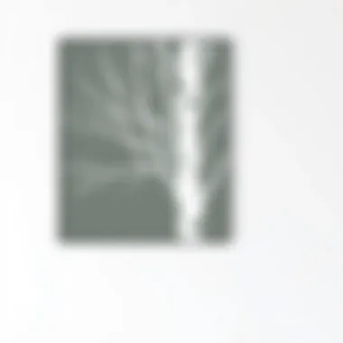 Simplicity in Nature: Birch Silhouette Minimalist birch tree silhouette on a clean wall