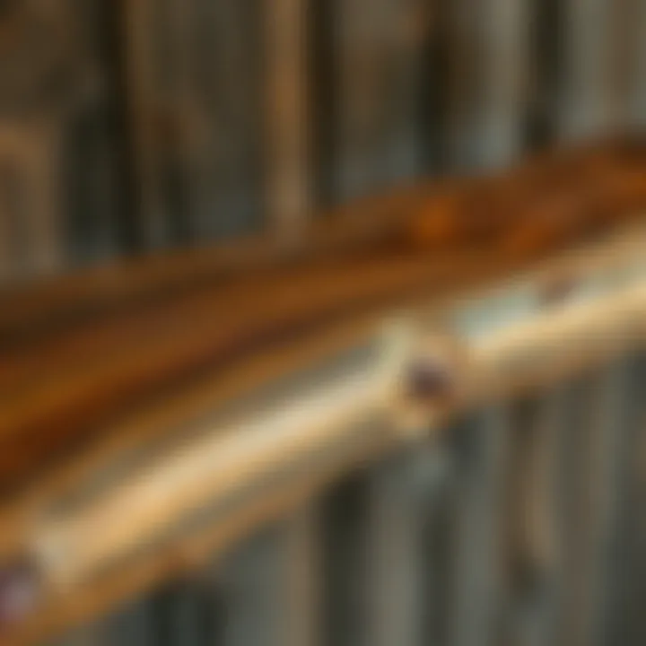 Natural Beauty of Brown Wood Stain Contrast of brown wood stain on a rustic wooden beam