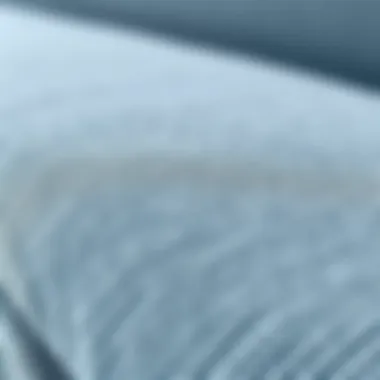 Close-up of fabric texture showcasing chenille quality