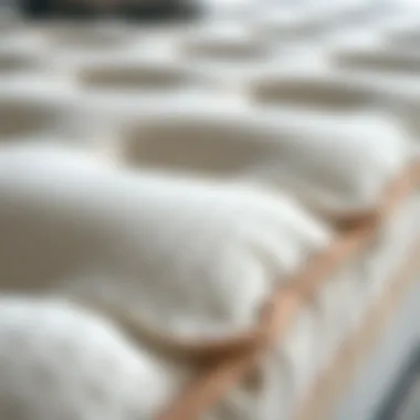 Quality Material of Folding Twin Mattress Close-up of mattress material showcasing quality and texture