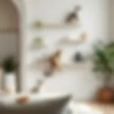 Stylish Cat Wall Furniture in Modern Interiors Stylish cat wall furniture that complements modern interiors