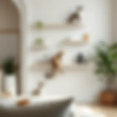 Stylish Cat Wall Furniture in Modern Interiors Stylish cat wall furniture that complements modern interiors