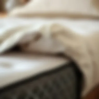 Quality Matters: Close-Up of Mattress Materials and Construction A close-up of mattress materials highlighting construction and quality