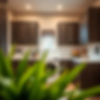 Innovative Designs in Utility Room Cabinets Modern designs for utility room cabinetry