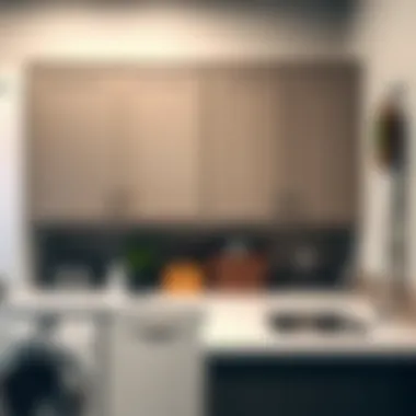 Aesthetic Appeal of Utility Room Cabinets Stylish utility room cabinet display