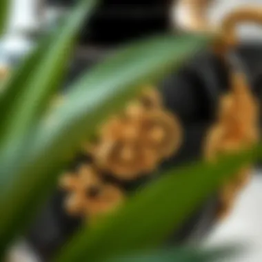 Close-up of the intricate design of a black and gold planter