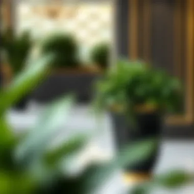 Large black and gold planter adorned with lush green plants