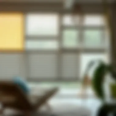 Diverse range of motorized blinds showcasing various styles and colors