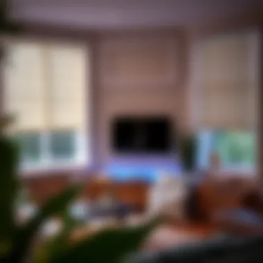 Smart Home Setup with Alexa and Roller Shades Smart home setup showcasing Alexa controlling roller shades