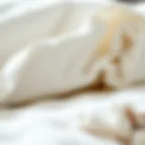 Organic Cotton Fabric in Natural Mattresses A close-up view of organic cotton fabric used in natural mattresses