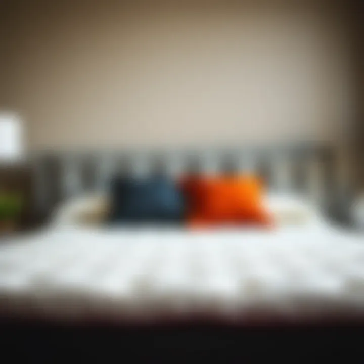 Essential Care Tips for Your Queen Box Spring Care tips for maintaining a queen box spring for longevity