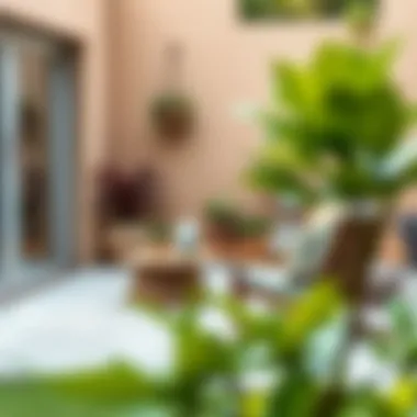 Sustainable Maintenance Practices Maintaining removable patio tiles with eco-friendly products