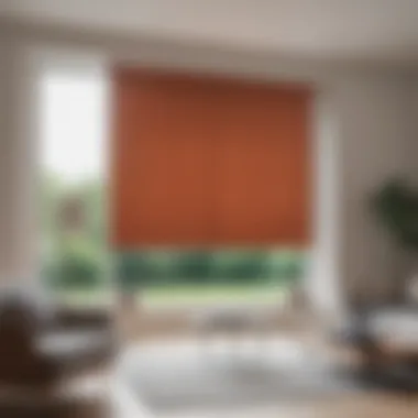 Smart Roller Blinds Automation Features Demonstrating the automation features of smart roller blinds with an app interface