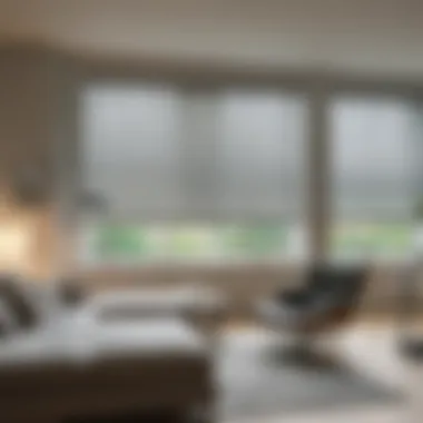 Energy Efficiency with Smart Roller Blinds Energy efficiency benefits illustrated through smart roller blinds usage