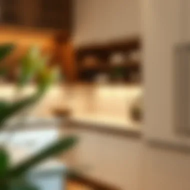 Materials in Modern Corner Base Cabinet Design A detailed look at the materials used in modern corner base cabinets