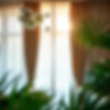 Light Filtration Capabilities of Koala Curtains Koala curtains showcasing effective light filtration