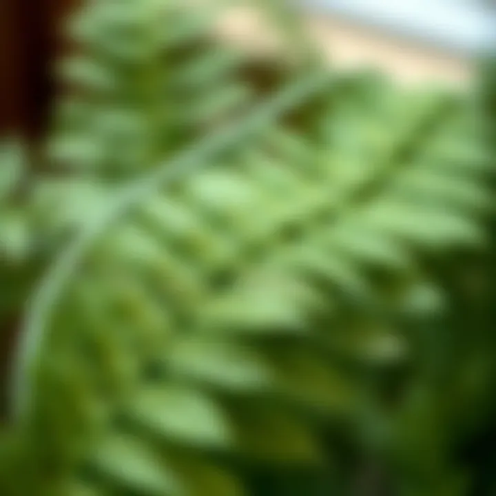 Close-up of textured faux fern leaves showcasing material details