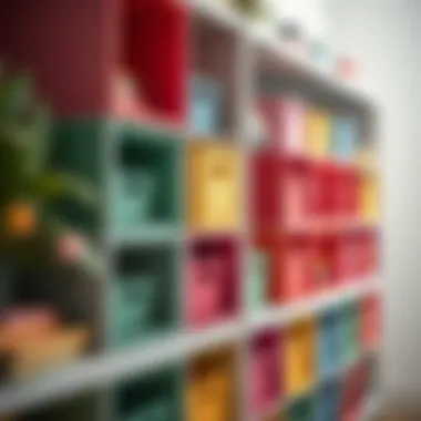 Vibrant Cube Storage Bins for Organized Spaces Colorful cube storage bins organized on shelves