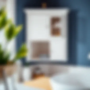 Essential Installation Tips Installation tips for corner bathroom cabinets