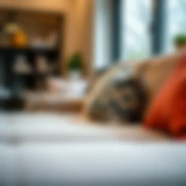 Essential Care Tips for Sleeper Sofas Maintenance tips for keeping a pull-out sleeper sofa in top condition