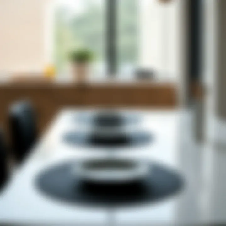 Minimalist Charm: Black Mats in Modern Dining Minimalist black table mat enhancing a modern dining experience