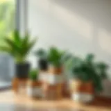 Elegant long indoor plant pots showcasing various styles