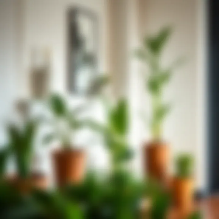 Plants Flourishing in Long Indoor Planters A selection of plants thriving in long indoor pots