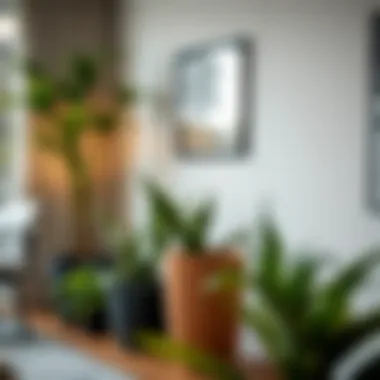 Chic Placement of Long Plant Pots in Interiors Stylish long plant pots in a modern interior setting