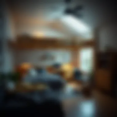 Functional Loft Bed Interior Interior showcasing the functionality of a loft bed setup