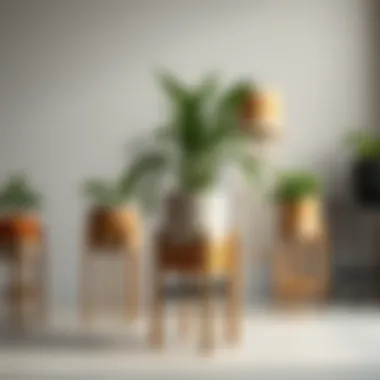 Diverse Materials for Plant Stands Close-up of different materials used in plant stand manufacturing