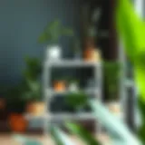 Elegant white 3-tier plant stand showcasing a variety of houseplants