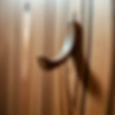 The Natural Beauty of Wood Grain Close-up of the texture and finish of a wooden adhesive hook