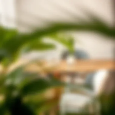 Chic Chair Arrangement for Dining Harmony Stylish arrangement of dining chairs around the table