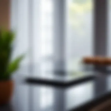 Sleek Design of Induction Cook Plates An elegant induction cook plate showcasing its sleek design.