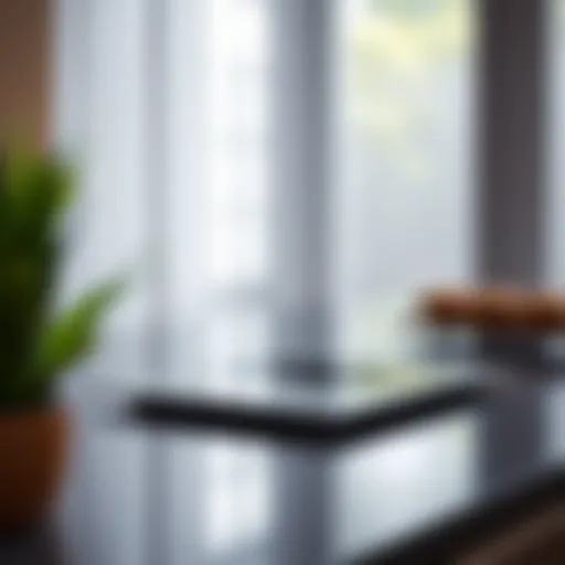 Sleek Design of Induction Cook Plates An elegant induction cook plate showcasing its sleek design.