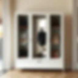 Elegant shoe storage with integrated mirror reflecting stylish footwear