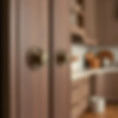 Inset Kitchen Cabinets Hardware Details Detailed view of hardware and finishes on inset kitchen cabinets