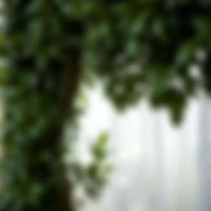 Close-Up of Lush Fake Foliage in Curtain Design Close-up of lush fake foliage incorporated into a curtain design, showcasing intricate details and textures