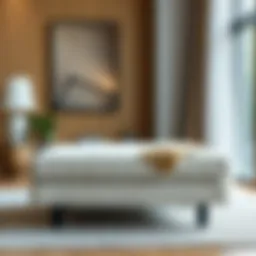 Elegant Karlstad Ottoman showcasing its modern design