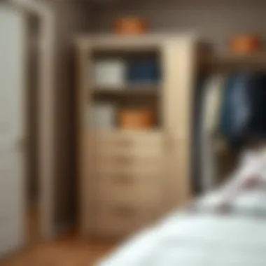 Stylish five-foot closet organizer with drawers showcasing versatile storage solutions