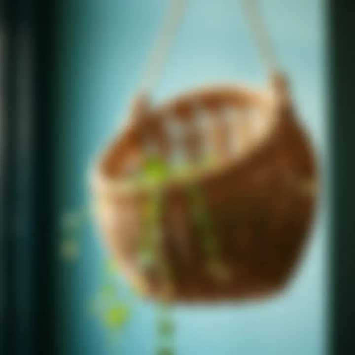 A close-up of a narrow hanging basket highlighting the intricate details of its design.