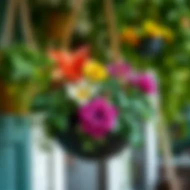 A beautifully arranged narrow hanging basket filled with vibrant plants.