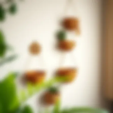 Creative use of narrow hanging baskets as a decorative element on a wall.